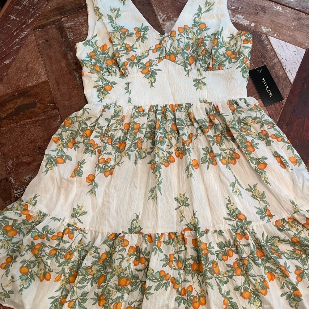 Beautiful, full-skirted, lined dress. New with tags.